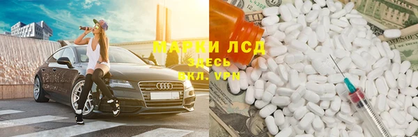 сатива Армянск