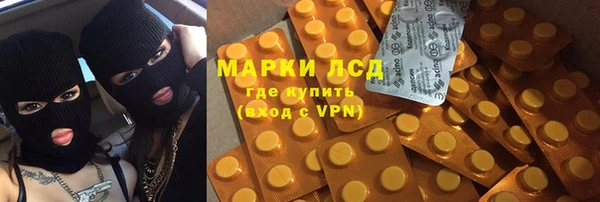 сатива Армянск