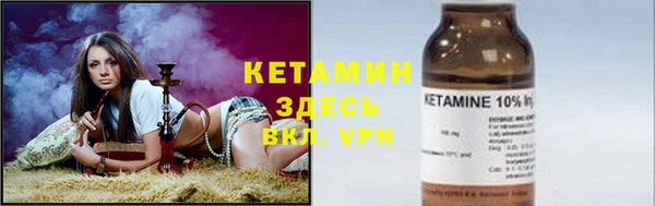сатива Армянск