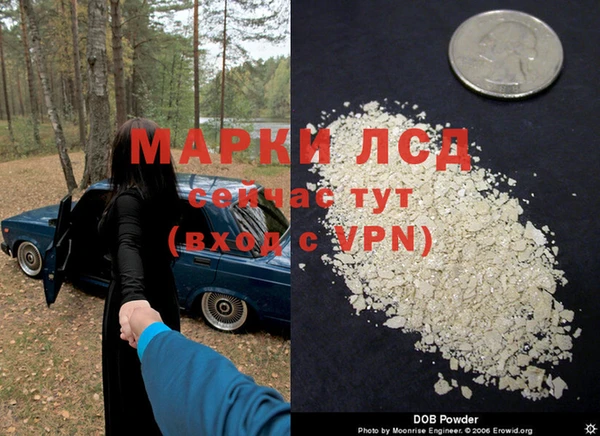 сатива Армянск